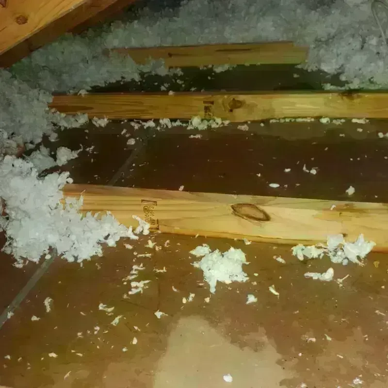 Attic Water Damage in Newport, NH